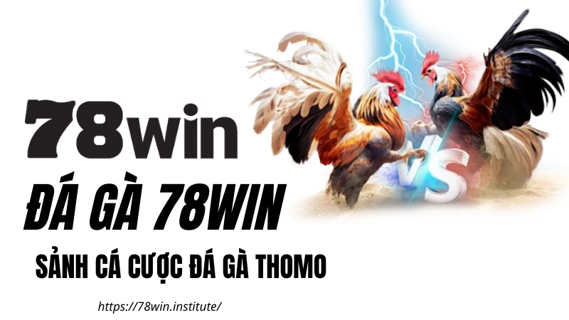 Đá Gà 78WIN - Xem Đá Gà Trực Tiếp Thomo 4K | Tặng 188K